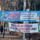 대전엑스포시민광장 | ⛸️❄️2025 대전 엑스포 시민광장 스케이트장 후기 | 눈썰매 미뤄져서 대신 갔는데… 생각보다 괜찮다