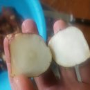 달래농장 이미지