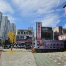 328-2-000074 | 잠실폴댄스학원 윙스폴댄스에서 1일수업후기