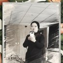 실버 스마트폰 활용(왕초보) 이미지