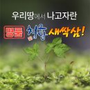 청유담 네이버블로그