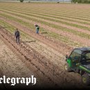 so tree farm 이미지