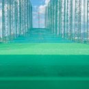 동인골프연습장(실외) 이미지