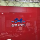 삼부스포렉스 이미지