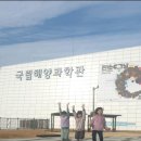 소백산깊은산속옹달샘펜션