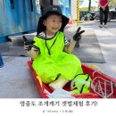 영종도 조개캐기 갯벌체험 5살 아이랑 남북어촌체험휴양마을 다녀왔어요 :)