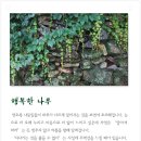 행복한나무 이미지