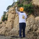 강태공낚시 | 소무의도 바다낚시 초보 도전기｜광어·삼치 손맛 제대로 본 인천 낚시 명소 후기