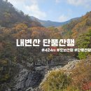 내변산 | [100대명산] 내변산 단풍산행 실시간 후기 (직소폭포 ~ 내소사코스)