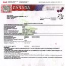 농구장 옆 횡단보도 | 캐나다에서 보내는 첫 주!