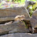 만산동 | 강원도 화천 계곡캠핑장 추천, 만산동국민여가캠핑장 20번 데크에서 자연속 힐링 후기