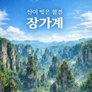 장가계 Daum카페