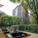 대림아파트 단지 내 이미지