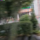 우슬체육관옆 이미지