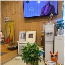 힐링약손 이미지