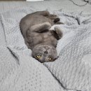 만박동물병원 이미지