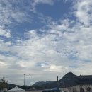 프레이저 플레이스 센트럴 서울 | 시청 맛집)프레이저 플레이스 센트럴 서울에서 가을 맞이 디너뷔페에서 와인무제한 파티 후기