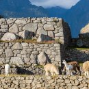 MACHU PICCHU 이미지