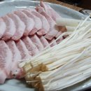 메밀꽃돼지 이미지