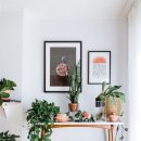 정리정돈+미니멀라이프 이미지