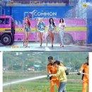달시스타일 이미지