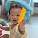 (유아)창의블럭 | 유아블럭 추천! 소프트블럭부터 옥스포드블럭, 자석블럭까지 2년간 써본 솔직후기