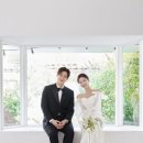 푸릇푸릇스튜디오