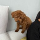 멍타주 | (2025.9월일기-2) 이번주는 휴식!