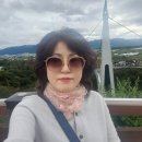 25.10.12철원소이산전망대은하수교햇불전망대고석정(3탄) 이미지