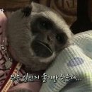 도트 이미지