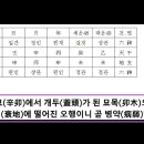 간담은 갑을목의 소관(所管)인데 특히 간(肝)은 묘(卯)를 관장한다. 이미지