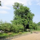 신당리 이미지