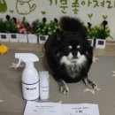 개깔끔 이미지