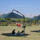 중앙공원무대 뒤 이미지