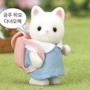 청춘이음