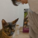 온피플