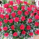 백송이꽃화원 이미지