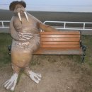 군산구암초등학교 이미지