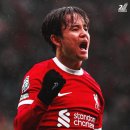 사이쿠보