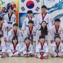 용인대노원태권도체육관 이미지