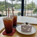 허그요거트 | 대전 궁동 충남대 근처 아늑한 분위기 카페 'Denhaag 덴허그' 방문 솔직 후기(feat. 블루베리요거트케이크)