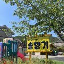 태안 안면도 솔향기펜션 스페셜룸 대가족 8명 방문 솔직 후기 (캠핑존,수영장,키즈 방방이,끝내주는...