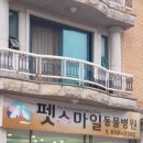 스마일동물병원 이미지