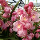 동문농장 이미지