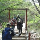 호수공원 삼거리(호수공원) 이미지