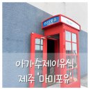 도키즈 수제간식 | 이유식 먹는 아기 제주여행 필수 코스 제주 수제 이유식 '마미포유' 방문 후기