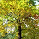 은빛여울 이미지