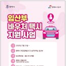 P-6103 | [임신일기] 35. 평택시 임산부 바우처 택시 지원 사업 신청하기 / 임산부택시 이용 후기