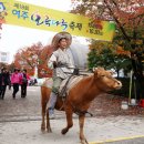 나루메디칼 이미지