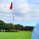 캐슬렉스CC 이미지